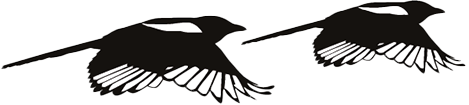 Magpie Marketing UK
